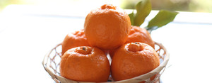 三余農園 柑橘類